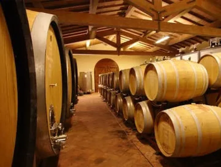 BRINDIAMO ALLA MAREMMA